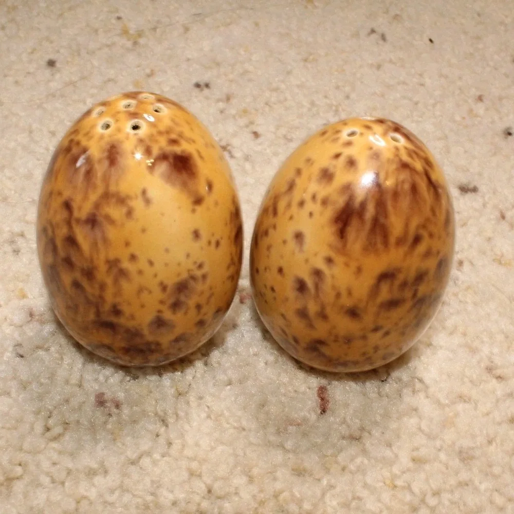 Ceramic Egg Shaped Speckled Salt and Pepper Shakers Set Kitchen Decor